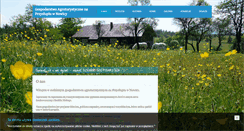 Desktop Screenshot of naprzyslupiu.pl